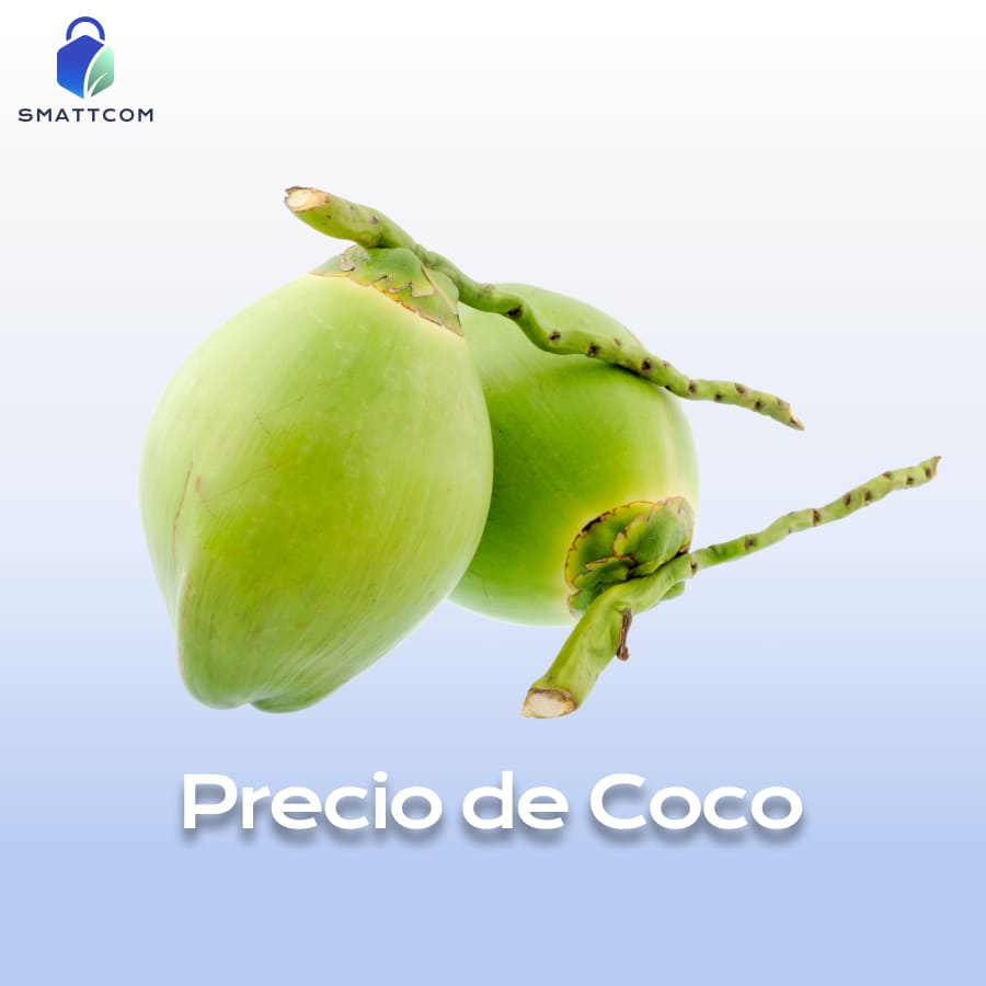 Imagen de | Smattcom