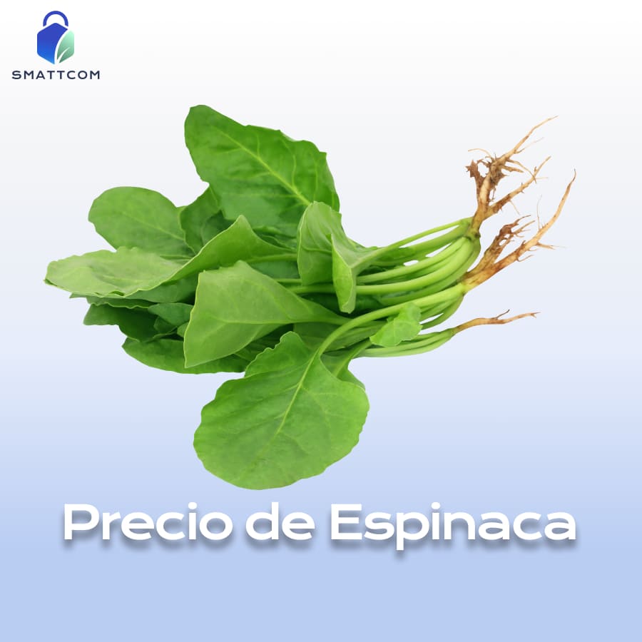 Imagen de  | Smattcom