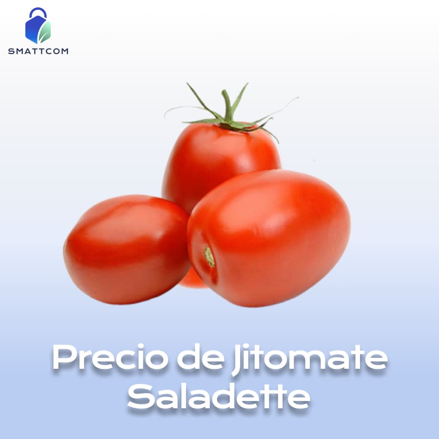 Imagen de MX Jitomate Saladette | Smattcom