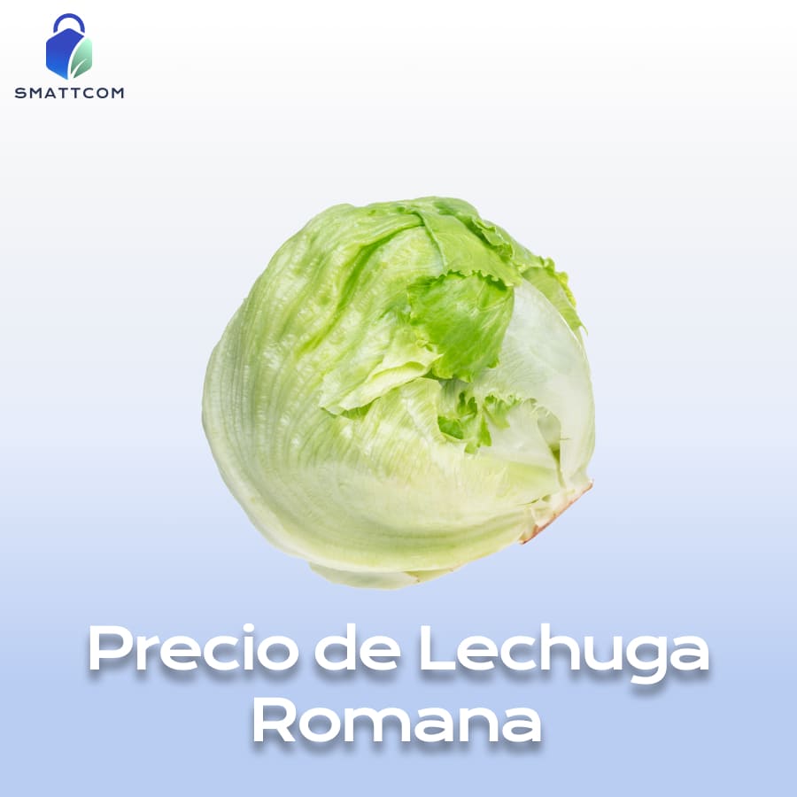 Imagen de Lechuga Romana | Smattcom
