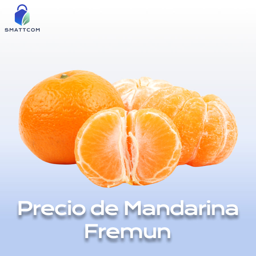 Imagen de  | Smattcom