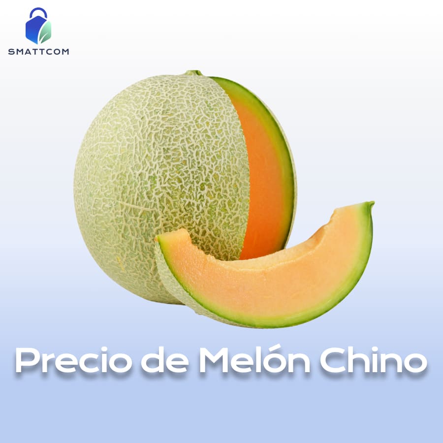 Imagen de Melón Chino | Smattcom