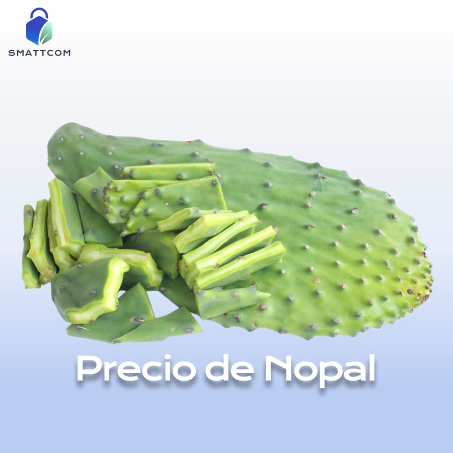 Imagen de Nopal | Smattcom