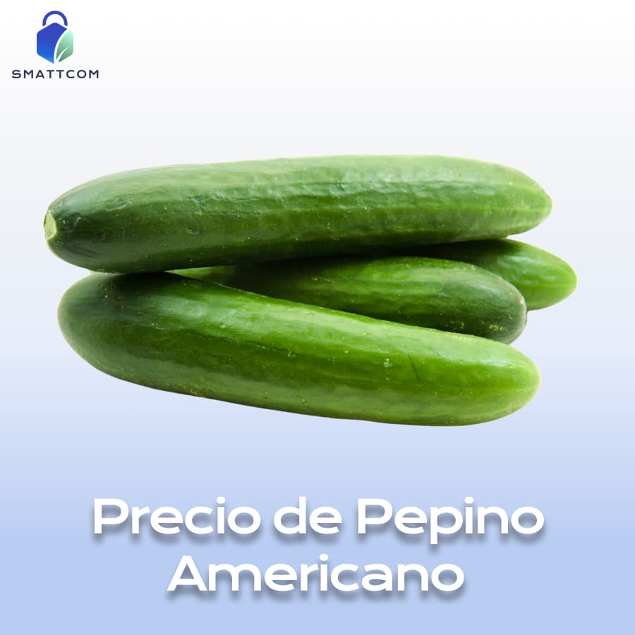 Imagen de Pepino Americano | Smattcom