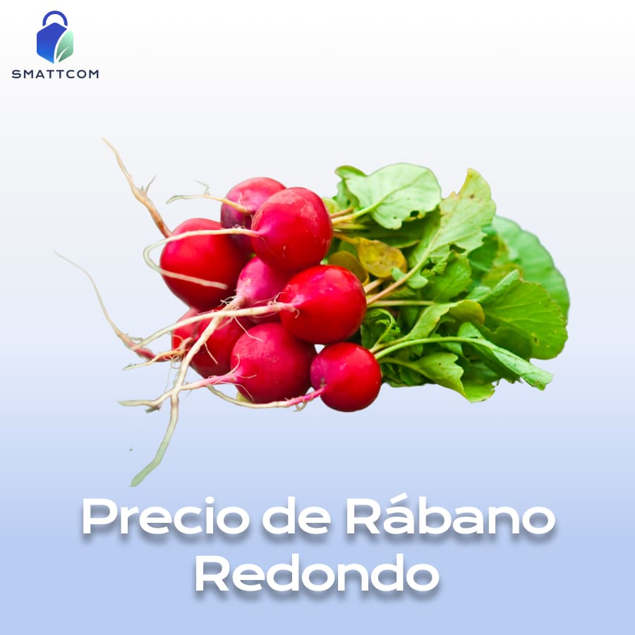 Imagen de | Smattcom