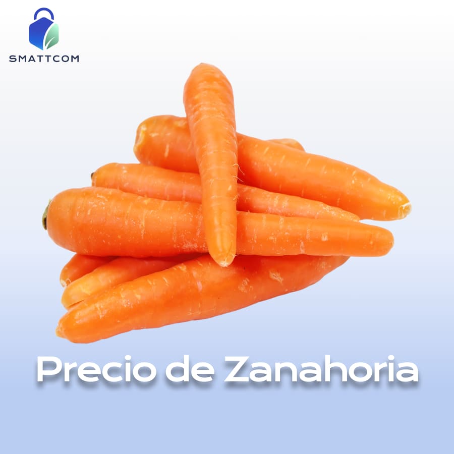 Imagen de Zanahoria | Smattcom